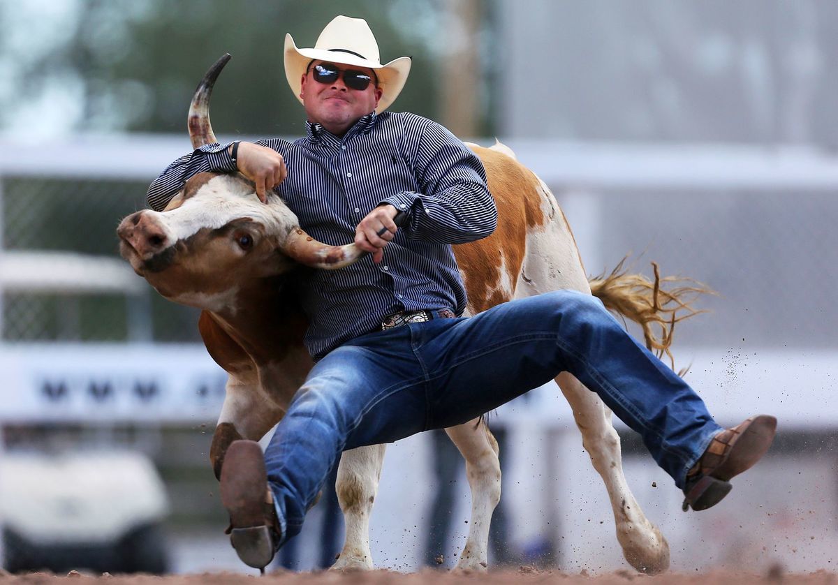 rodeo, cowboy, býk, Wyoming