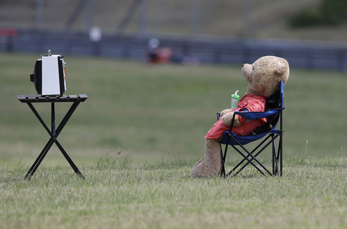 F1 GP Auto preteky, Maďarsko, medveď, plyšový maco, kostým medveďa