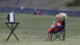Tatranci sa obávajú medveďov – stravu cítia na kilometre, jeden miluje zmrzlinu