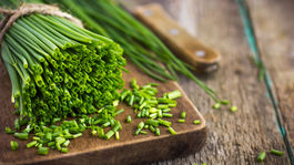 Pažítka? Ochutnajte aj kvety