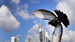 Nemecké mesto vypísalo súťaž o milión eur. Stačí dokázať, že neexistuje