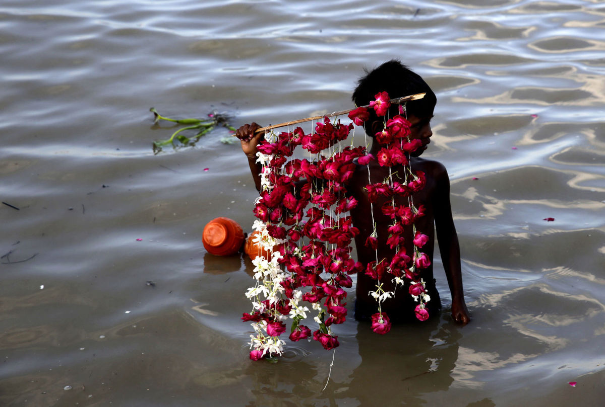 India, ružové lupene, kvety, chlapec, rieka, predavač