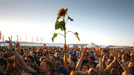 Pohoda môže získať až štyri European Festival Awards