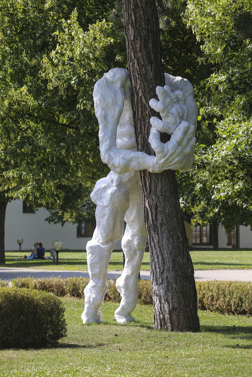 Tomasz Koclega: Bliskość