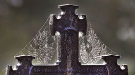 Strašidelná noc v kostole pri hrobkách a Vyháňač diabla? Za 57 eur