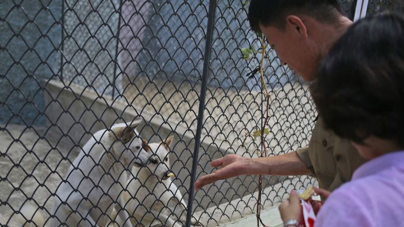 Návštevníci v severokórejskej zoo kŕmia psy.