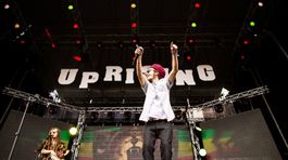 Slovenské reggae je s nami dlhšie, ako si myslíme