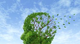 Byť kreatívny je výhra na celý život