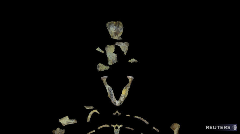 V roku 1974 našli veci v Nigérii asi 40 percent...