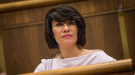 Korupcia je všade vo svete, ale padajú pre ňu hlavy, hovorí Nicholsonová