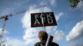 Tisíce ľudí demonštrovali v Berlíne proti rasizmu a AfD