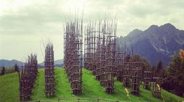 Úchvatná lesná katedrála schová do vrecka aj Svätopeterskú baziliku