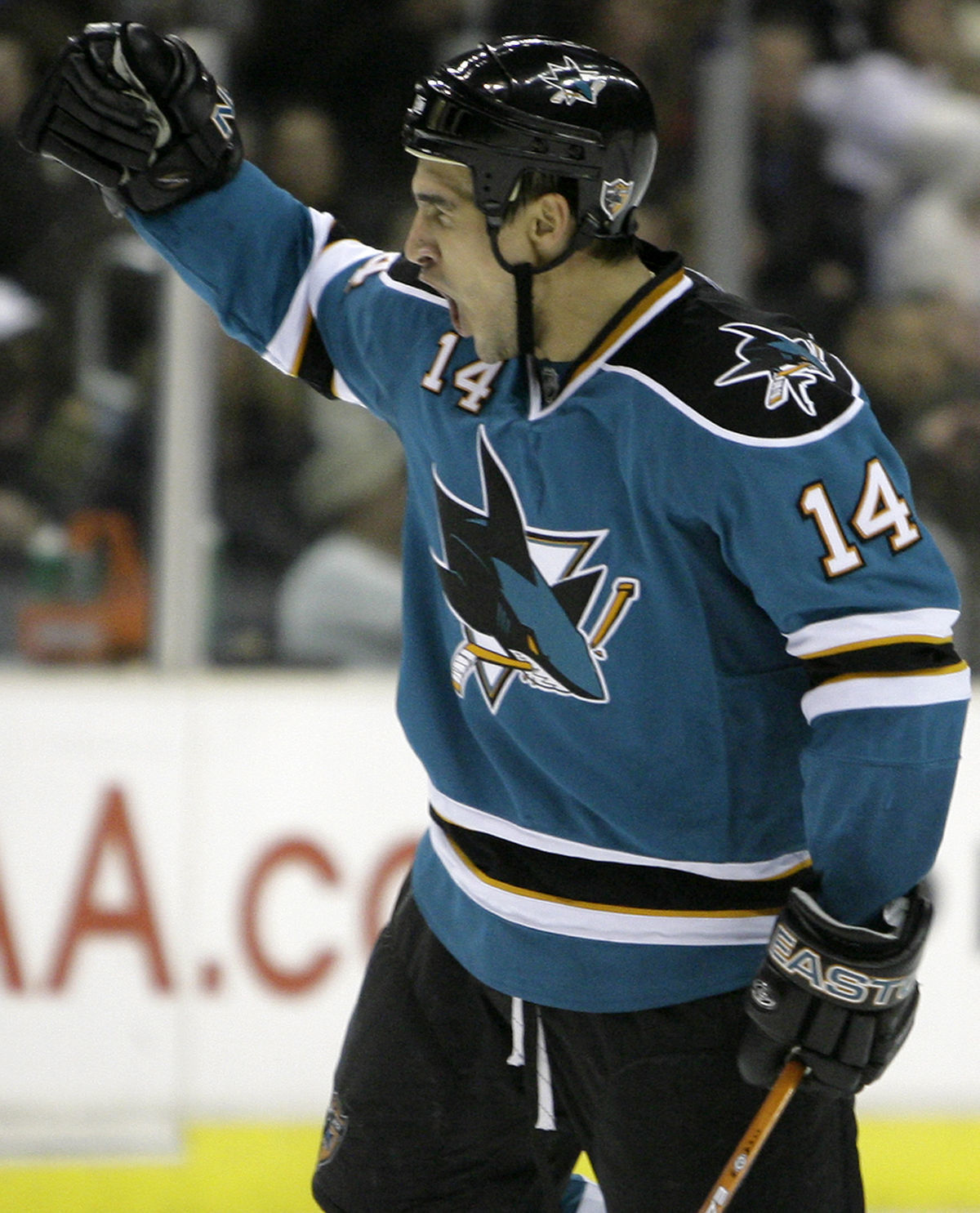 Jonathan Cheechoo a jeho gólová radosť v NHL.