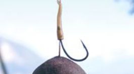 Takto vyzerá boilies, návnada na kapra.