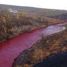 NEPOUZIVAT!!! červená rieka, Daldykan, Noriľsk,