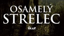 John Grisham - Osamelý strelec. Stal sa z neho terč