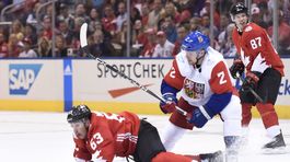 So Slovákmi v spoločnom tíme? Prečo nie, vraví Zbyněk Michálek