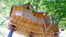 Pri Bratislave sa opäť ubytujete v domoch na strome. Noc stojí 100 eur