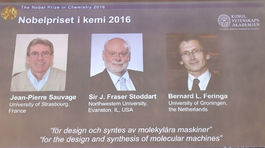 Nobelovu cenu za chémiu udelili za výskum 'molekulárnych strojov'