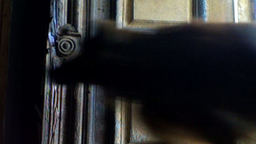 My Dog is My Piano nemeckej autorky Antonie...