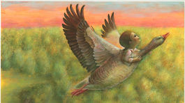 Z knižky o Jankovi Polienkovi