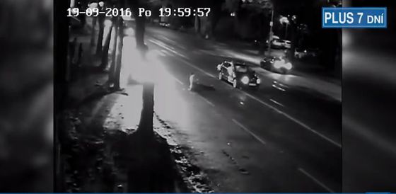 Zábery z nehody Daniela Lipšica.