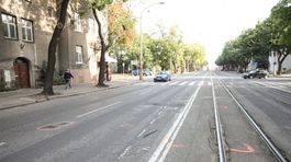 Lipšic zrejme zrazil chodca na priechode