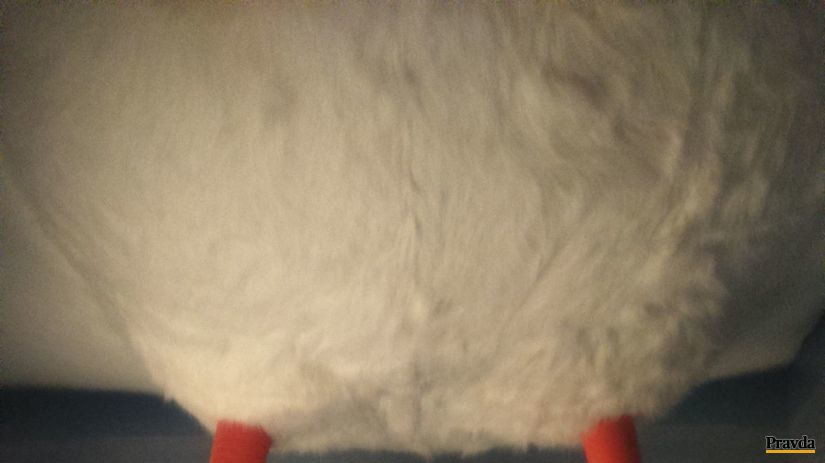 To by bolo, vysadnúť na gunára a letieť svetom.