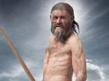 Ötzi, ľadový muž, Mistelbach