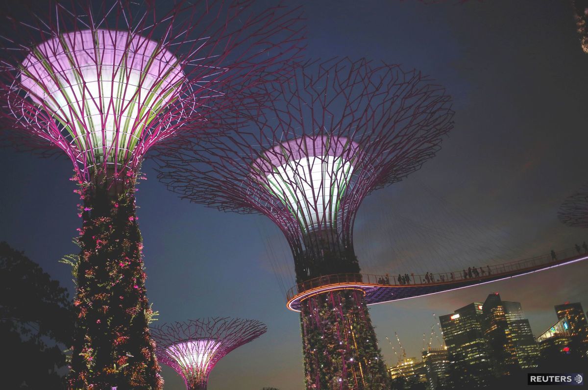 Singapur, stromy,