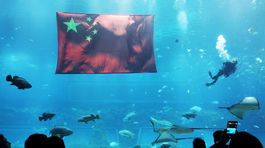 Až 8 000 živočíchov aj noc medzi žralokmi ponúkne nové obrie akvárium AquaRio