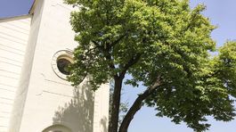 Mochovce sa odsúvajú a predražujú