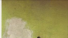 Kniha roka denníka Pravda: Poézia ako skalpelom