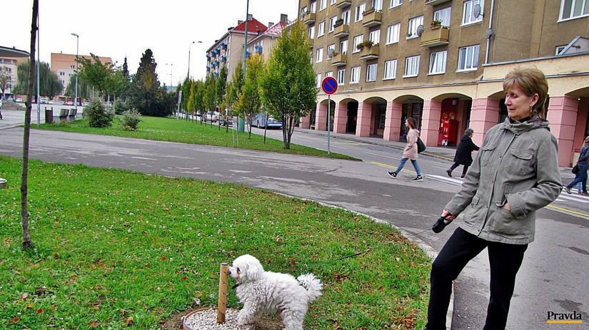 žena, pes, park, mesto, Nová Dubnica