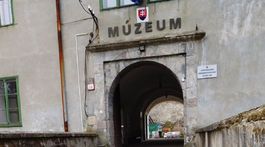 Pavúky zjedia viac zvierat ako celé ľudstvo dohromady