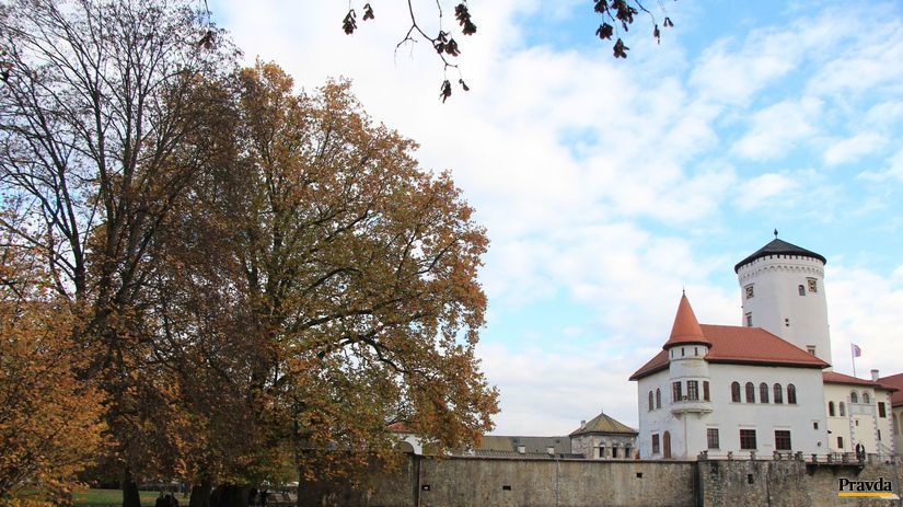 Platan v Budatínskom parku rastie už 270 rokov.