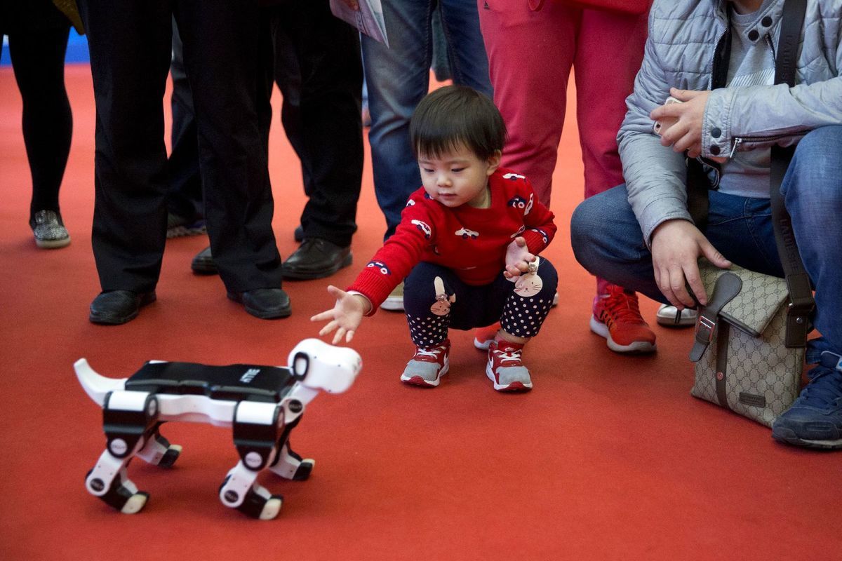 robot, pes, robopes, Čína, dieťa