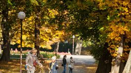 Pospíme si dlhšie, počasie bude mierne premenlivé