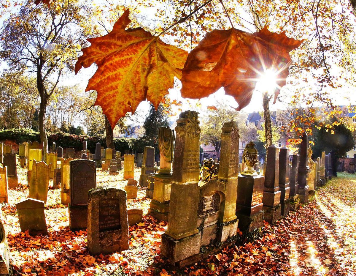cintorín, hroby, pohreb, smrť, jeseň, listy, pochovávanie,