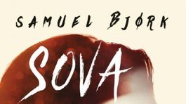 Samuel Bjork - Sova. Nahá, pokrytá vtáčím perím a mŕtva