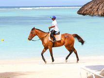 kôň, pláž, more, dovolenka, leto, cestovanie, jazda, jazdenie, slnečník, slnko, oceán, piesok, Maurícius