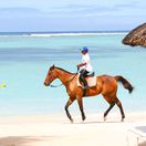 kôň, pláž, more, dovolenka, leto, cestovanie, jazda, jazdenie, slnečník, slnko, oceán, piesok, Maurícius