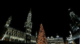 V Bruseli rozsvietili stromček zo Slovenska