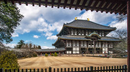 srnky, svätyňa, Nara, Japonsko,