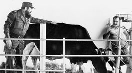 Ako Fidel ukazoval Slovákom kravu rekordérku a dvíhal sud nad hlavu