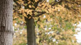 Neviem sa nabažiť ľudských príbehov