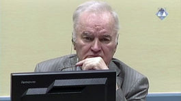 Žalobcovia žiadajú pre Ratka Mladiča doživotie