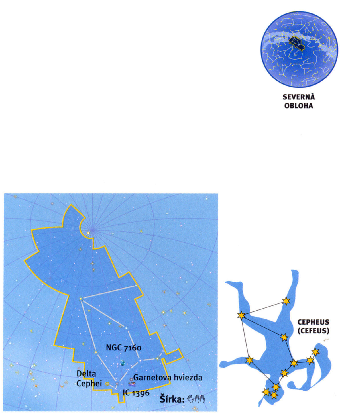 Cepheus