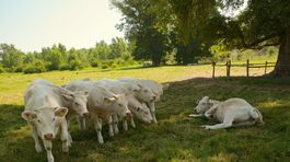 Na vidieku vznikne tisíc nových fariem
