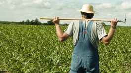 Nadácia Tesco podporila domácich farmárov a slovenské produkty